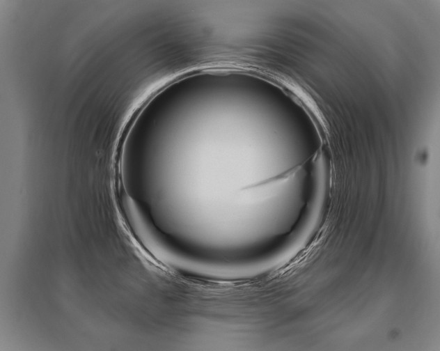 X0000095551485200712141544