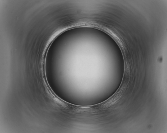 X0000095551486200712141544