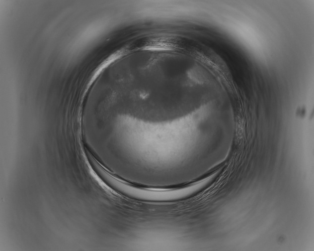X0000095551487200712141544