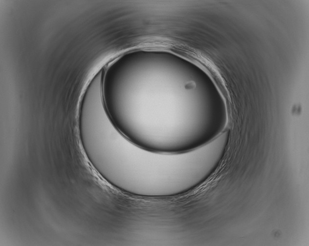 X0000095551488200712141544