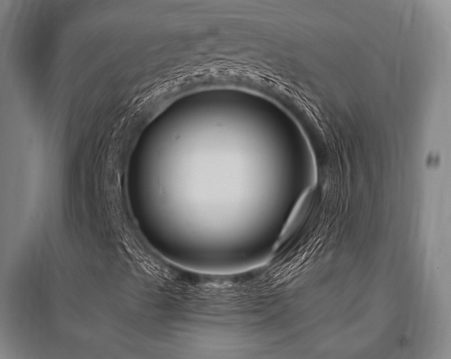 X0000095551489200712141543