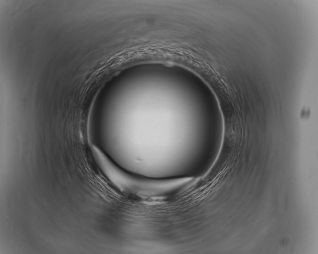 X0000095551490200712141543