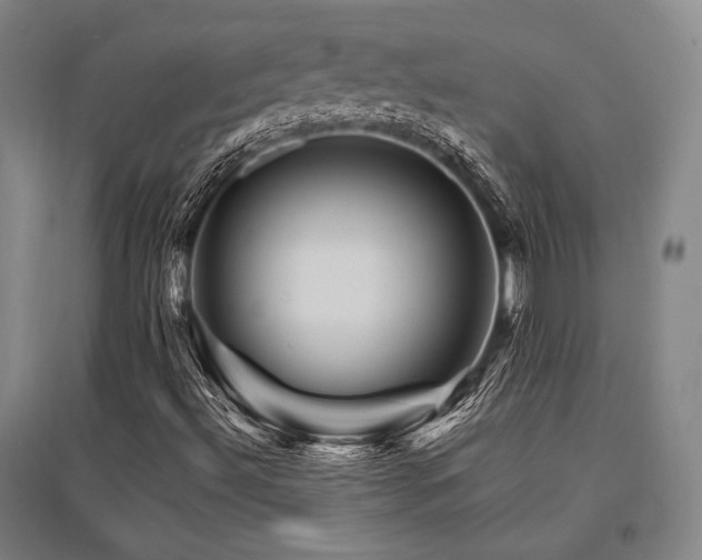 X0000095551492200712141543