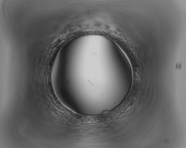 X0000095551493200712141543