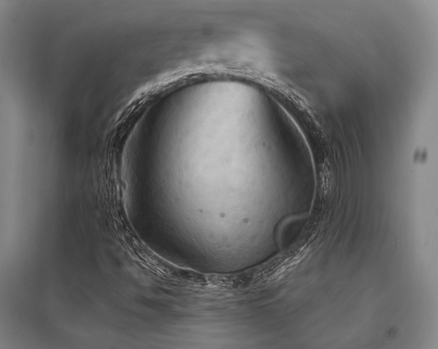 X0000095551494200712141543