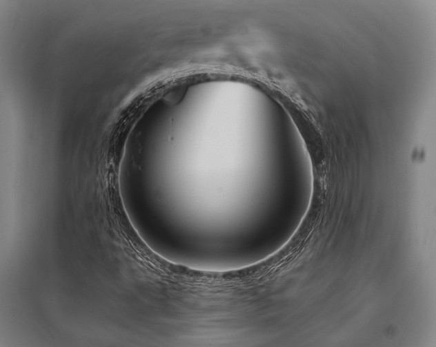 X0000095551495200712141543