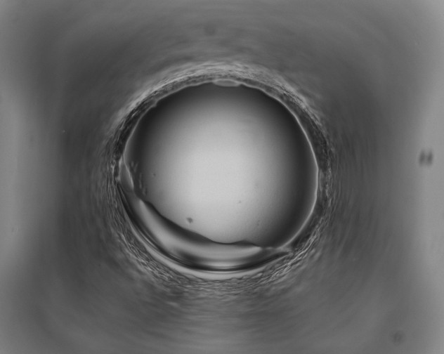 X0000095551496200712141543