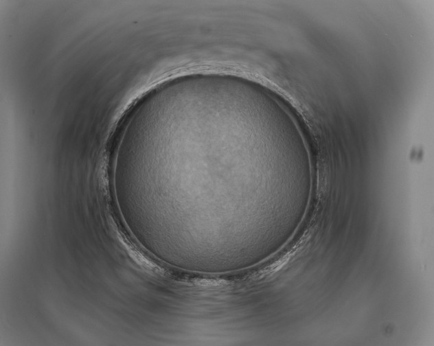 X0000095551498200712141543