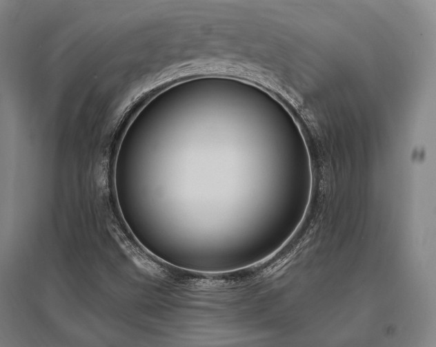 X0000095551499200712141543
