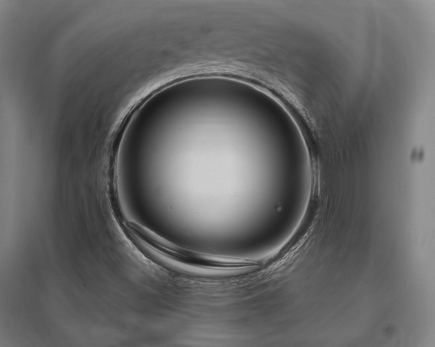 X0000095551500200712141543