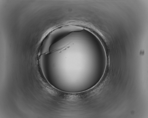 X0000095551501200712141543