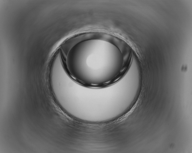 X0000095551502200712141543