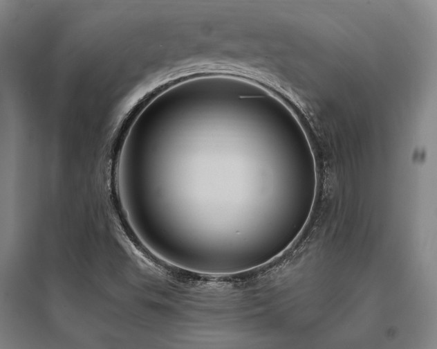 X0000095551503200712141543