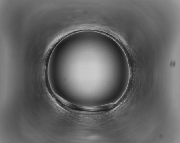 X0000095551504200712141543