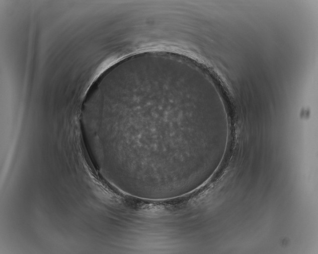 X0000095551505200712141543