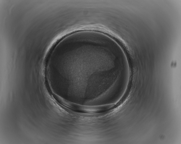 X0000095551506200712141543