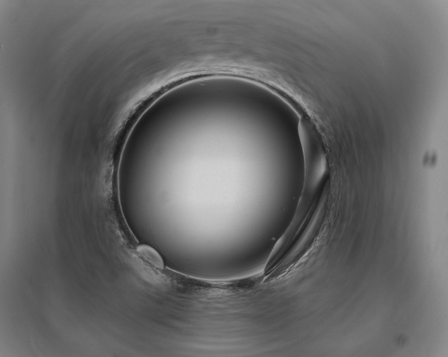 X0000095551507200712141543