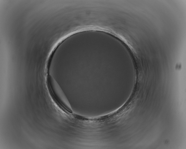X0000095551508200712141543