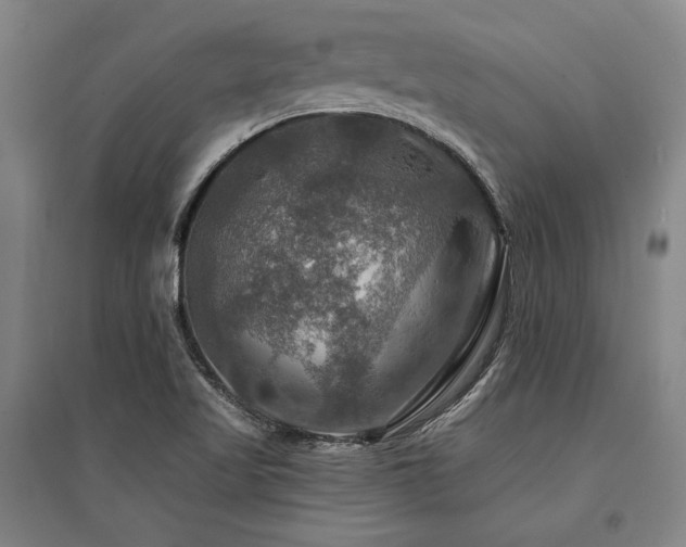 X0000095551509200712141543