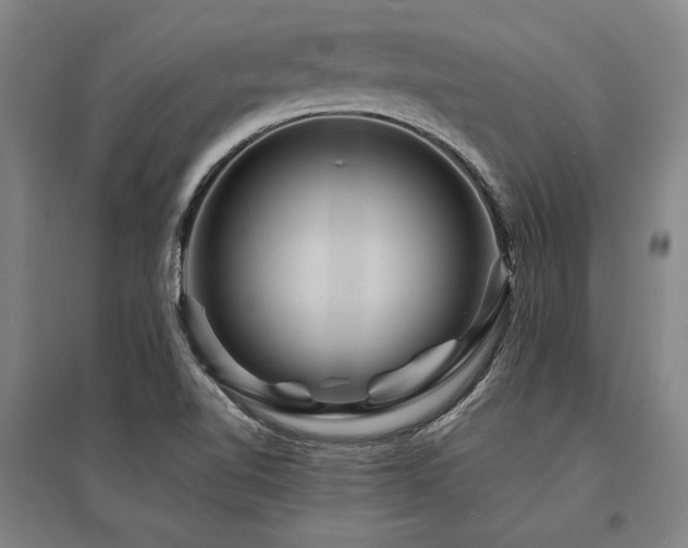 X0000095551510200712141543