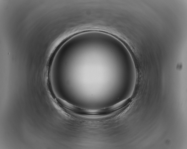 X0000095551511200712141543