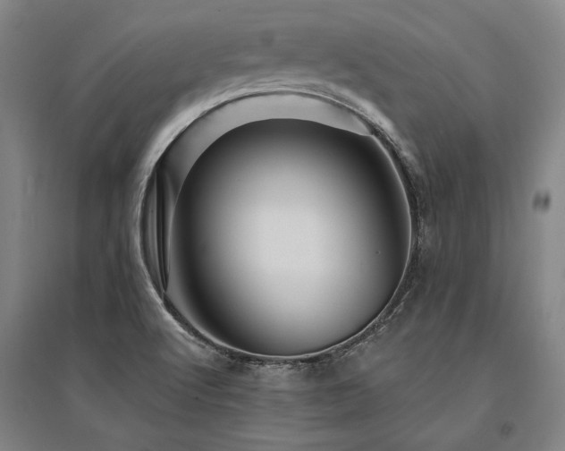 X0000095551512200712141543