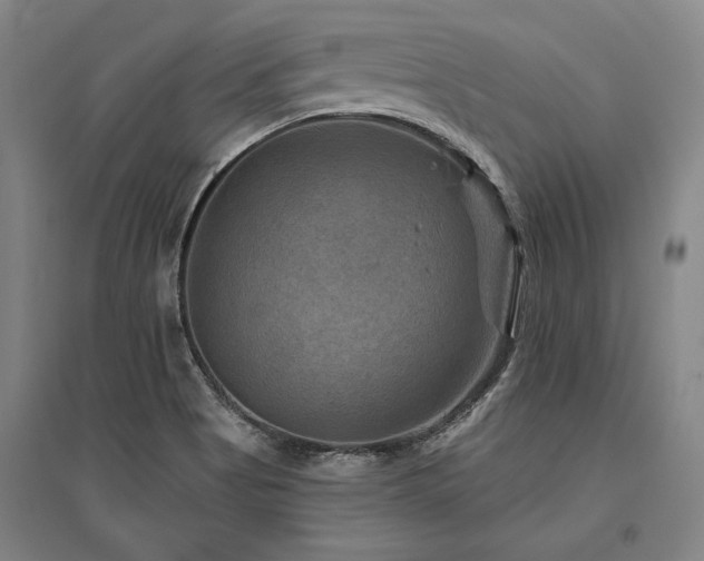 X0000095551513200712141543
