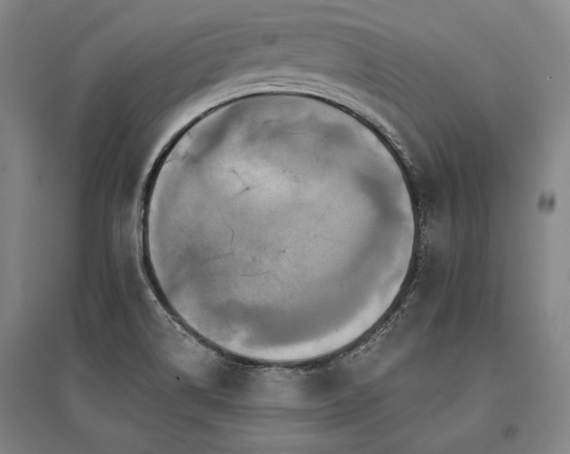X0000095551514200712141544