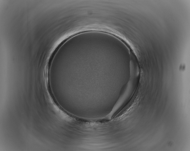 X0000095551515200712141544