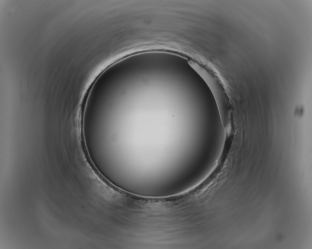X0000095551516200712141544