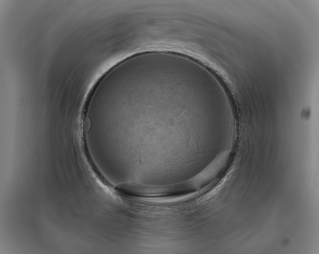 X0000095551517200712141544