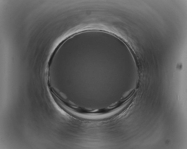 X0000095551519200712141544