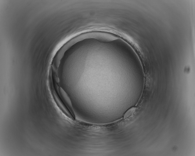 X0000095551520200712141544