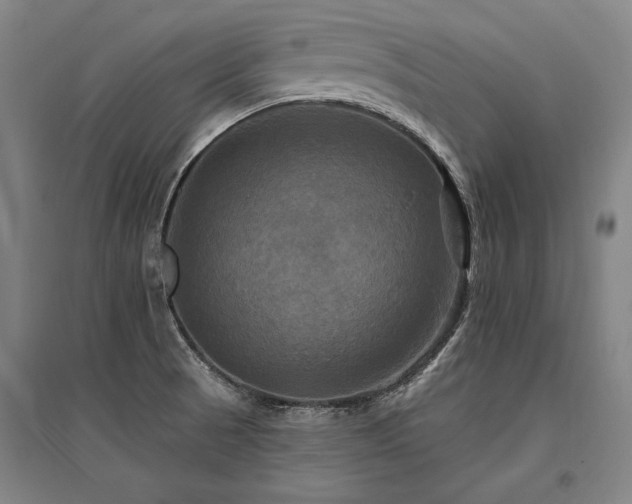 X0000095551521200712141544
