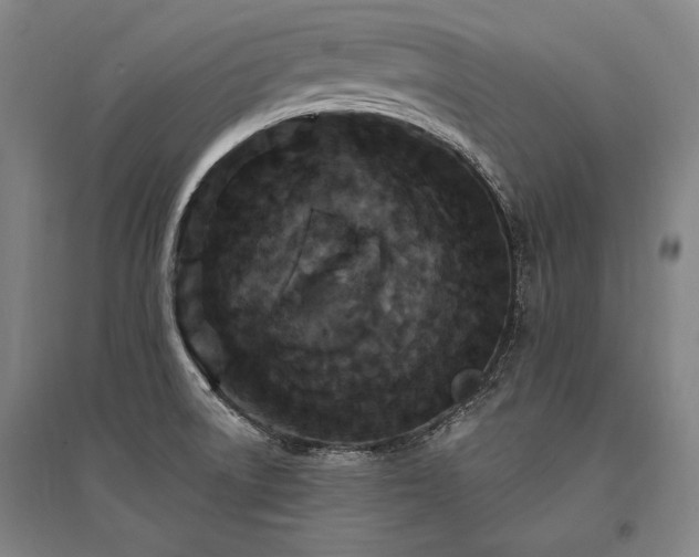 X0000095551522200712141544