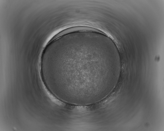 X0000095551523200712141544