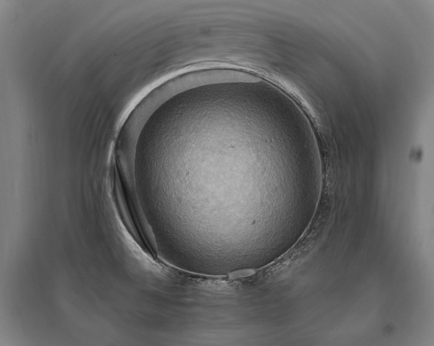 X0000095551524200712141544