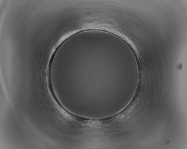 X0000095551525200712141544