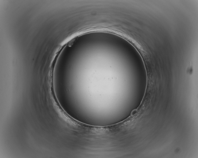 X0000095551526200712141544