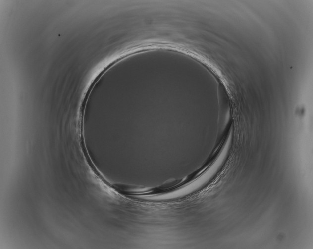 X0000095551527200712141544