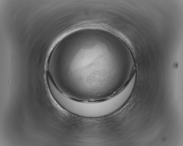 X0000095551528200712141544