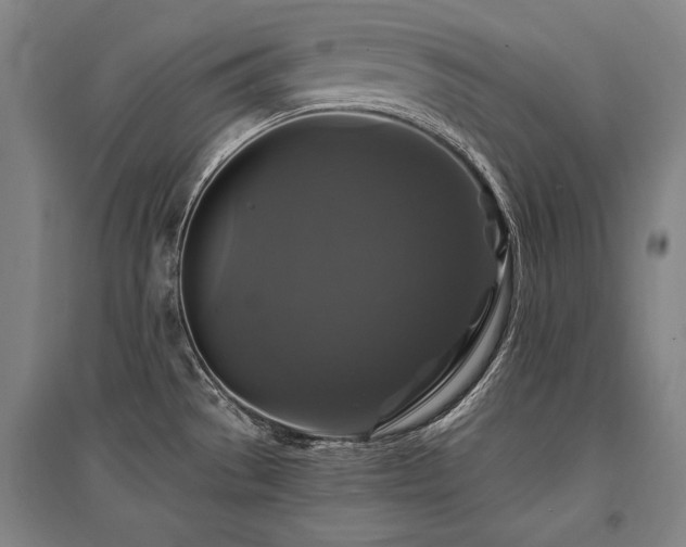 X0000095551529200712141544