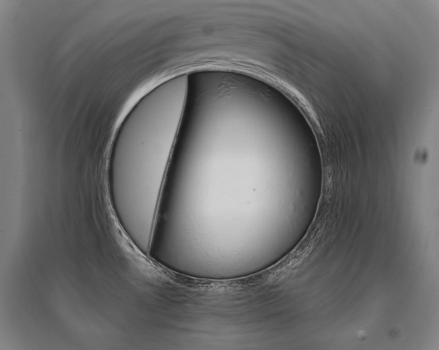 X0000095551530200712141544