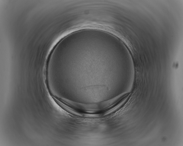 X0000095551531200712141544