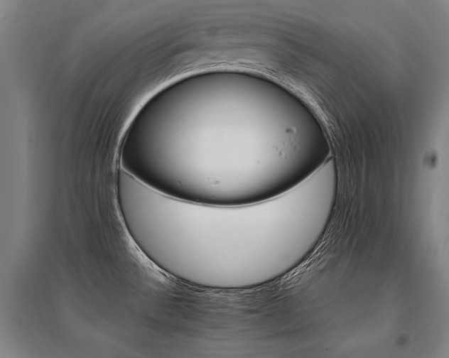 X0000095551532200712141544