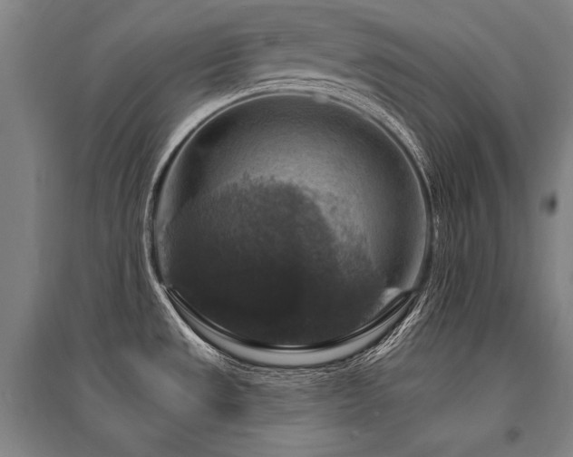 X0000095551533200712141544