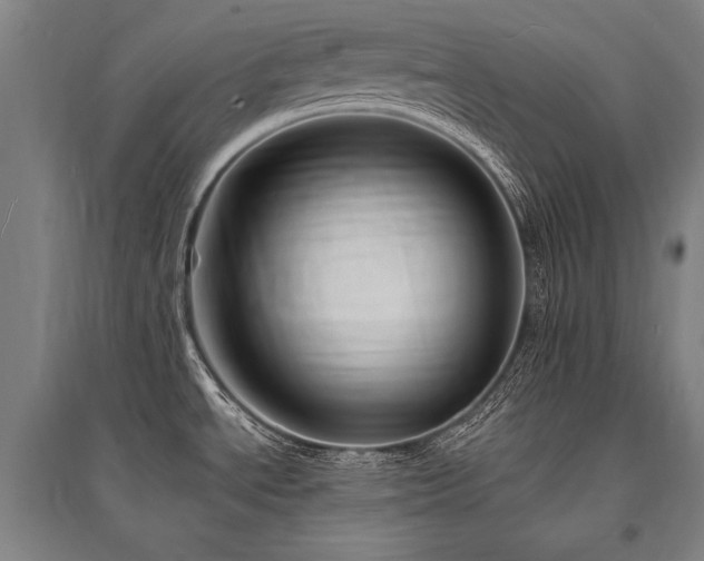 X0000095551534200712141544