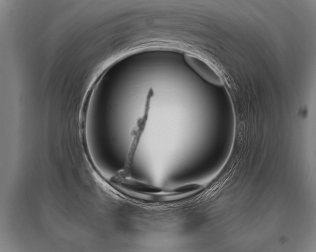 X0000095551535200712141544