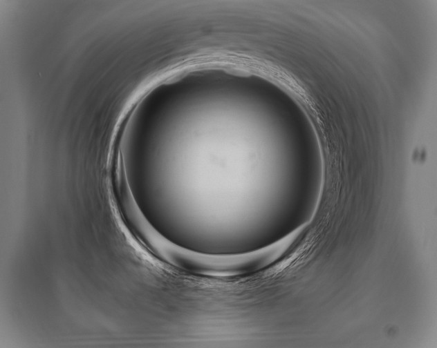 X0000095551536200712141544