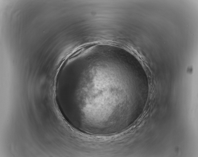 X0000095550002200712211420